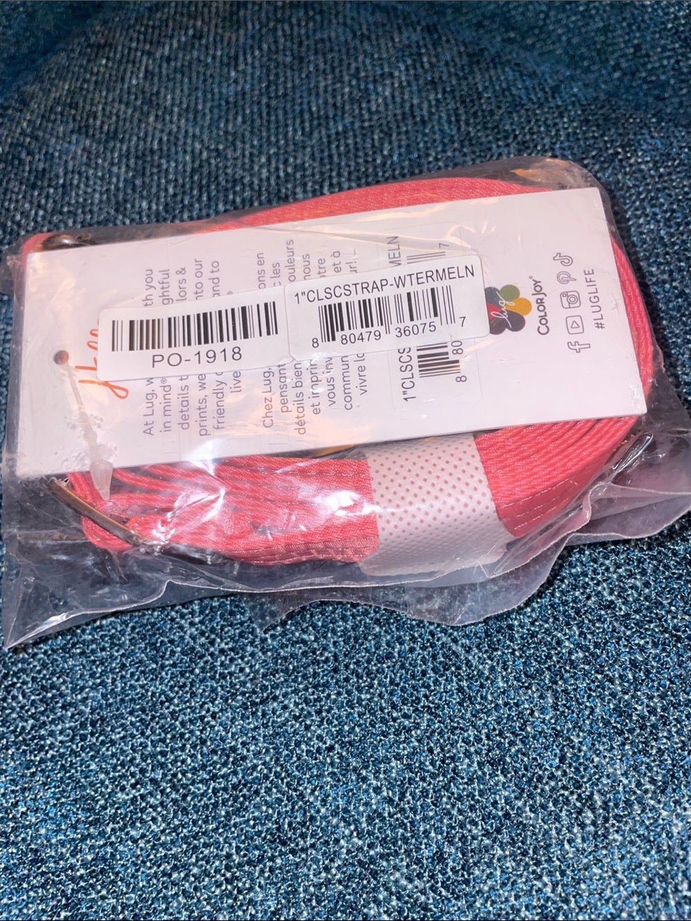 NWT- Lug 1” Classic strap Watermelon